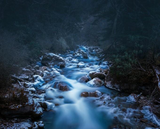 白玉兰花是什么味道？